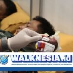 Pentingnya Asupan Zat Besi untuk Meningkatkan Hemoglobin Sebelum Donor