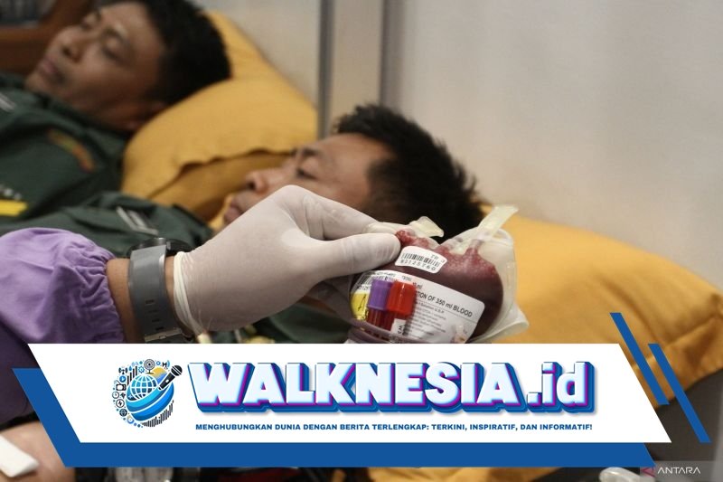 Pentingnya Asupan Zat Besi untuk Meningkatkan Hemoglobin Sebelum Donor