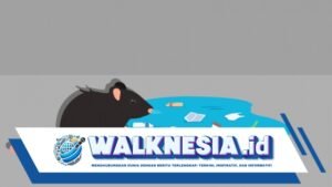 Populasi Tikus Meningkat, Waspadai Penyebaran Penyakit