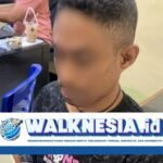 Pria di Kupang Ditangkap Polisi Setelah Mabuk dan Mencuri HP Mantan