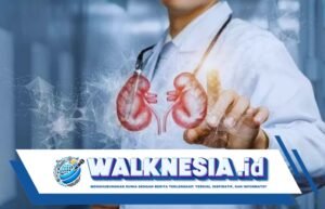 Rutin Cek Fungsi Ginjal untuk Penderita Diabetes dan Hipertensi