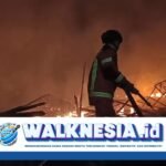Kebakaran Hanguskan Kandang Ayam, Kerugian Peternak Capai Miliaran Rupiah