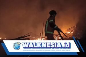 Kebakaran Hanguskan Kandang Ayam, Kerugian Peternak Capai Miliaran Rupiah