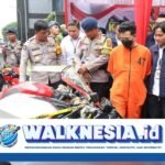 Adik Bos Tambang Batu Bara Ilegal Ditangkap, Terancam Hukuman Berat