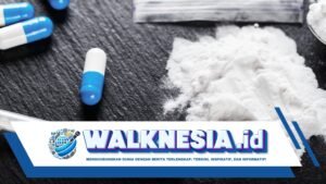 Sindikat Narkoba Ditangkap Usai Sembunyikan Sabu di Gendongan Bayi