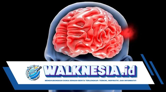 Kenapa Penyumbatan Pembuluh Darah di Leher dan Otak Berbahaya? Ini Penjelasannya