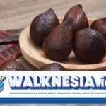Manfaat Buah Salak untuk Kesehatan Apa Saja? Ini 7 Daftarnya