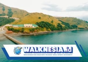 Jadi Pelengkap Wisata Labuan Bajo, Ini Jurus ITDC Gaet Turis Berkunjung ke Golo Mori