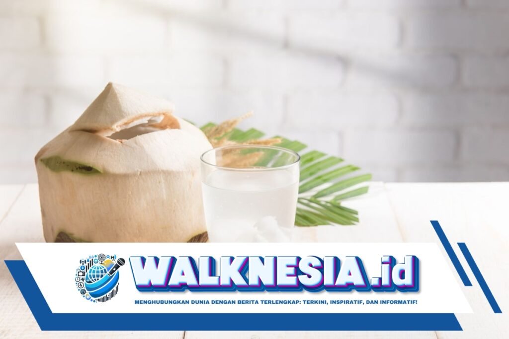 Apa Manfaat Minum Air Kelapa Setiap Hari? Berikut 10 Daftarnya