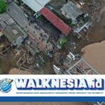BNPB: 355 Rumah Rusak akibat Banjir dan Longsor di Sukabumi