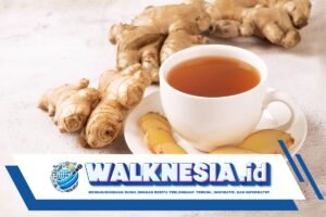Apa Manfaat Minum Air Jahe Hangat?