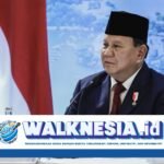 Prabowo Turun Tangan Merespons Polemik Pengangkatan CPNS, Ini yang Akan Dilakukan