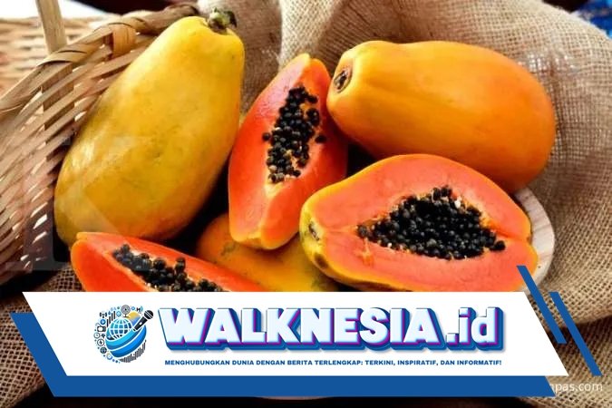 5 Manfaat Pepaya yang Baik untuk Kesehatan