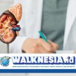 Diabetes dan Hipertensi Meningkat, Penyakit Gagal Ginjal Semakin Mengancam