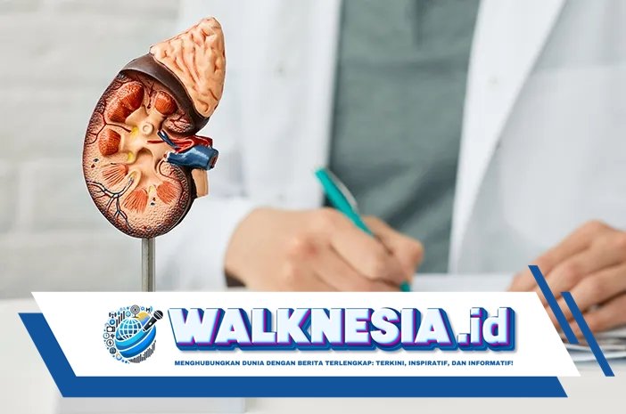 Diabetes dan Hipertensi Meningkat, Penyakit Gagal Ginjal Semakin Mengancam