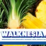 Penyakit Ginjal Kronis: Ini Jenis Buah yang Aman Dikonsumsi