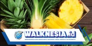 Penyakit Ginjal Kronis: Ini Jenis Buah yang Aman Dikonsumsi