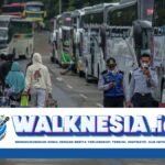 Demi Efisiensi, Pemkab Luwu Timur Hapus Program Mudik Gratis 2025