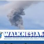 Gunung Ibu Meletus Lagi, Abu Vulkanik Membubung Setinggi 1.000 Meter