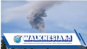 Gunung Ibu Meletus Lagi, Abu Vulkanik Membubung Setinggi 1.000 Meter