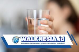 Dianjurkan Tetap Minum Air Putih 8 Gelas per Hari Saat Puasa, Bagaimana Caranya?