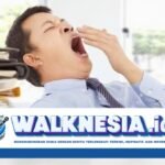 Tips Efektif Mengatasi Rasa Ngantuk dan Lelah di Siang Hari