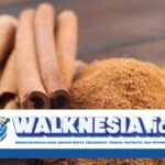Rempah Terbaik untuk Mengontrol Gula Darah: Jahe atau Kayu Manis?