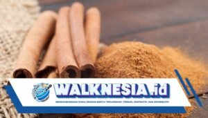 Rempah Terbaik untuk Mengontrol Gula Darah: Jahe atau Kayu Manis?