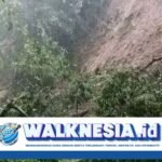Longsor Parah di Manggarai, Satu Desa Terisolasi Berbulan-Bulan
