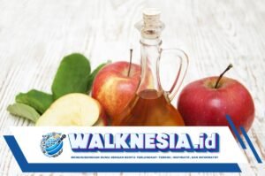 5 Alasan Mengapa Cuka Apel Baik untuk Kesehatan