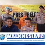 Demi Judi Online, Pria di Tarakan Nekat Curi 270 Kg Daun Bawang