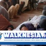 50.021 Orang Tewas Sejak Perang di Gaza