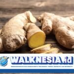 6 Manfaat Jahe untuk Kesehatan, Termasuk Mengontrol Penyakit Diabetes