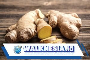 6 Manfaat Jahe untuk Kesehatan, Termasuk Mengontrol Penyakit Diabetes