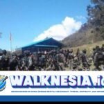 komisi x dpr kecam kkb serang guru dan nakes: mereka jalankan tugas mulia