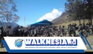 komisi x dpr kecam kkb serang guru dan nakes: mereka jalankan tugas mulia