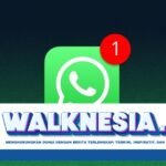 Apa Itu Fitur Proxy di WhatsApp, Begini Penjelasannya