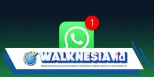Apa Itu Fitur Proxy di WhatsApp, Begini Penjelasannya