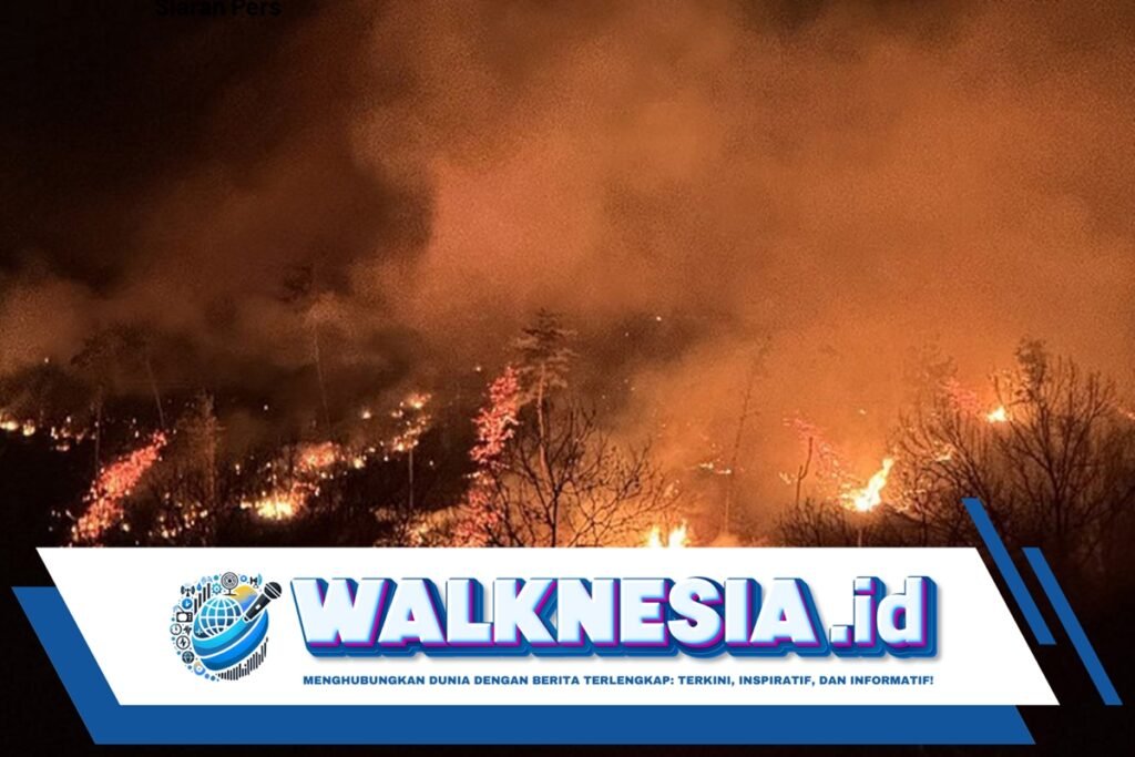 Kebakaran Hutan Korsel Makin Parah, Kuil Berusia Ribuan Tahun Terbakar
