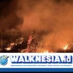 Kebakaran Hutan Korsel Makin Parah, Kuil Berusia Ribuan Tahun Terbakar