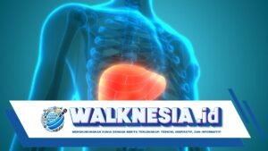 perbedaan hati sehat dan tidak sehat yang perlu diketahui