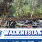 polisi kumpulkan barang bukti usai serangan kkb di anggruk