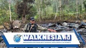 polisi kumpulkan barang bukti usai serangan kkb di anggruk