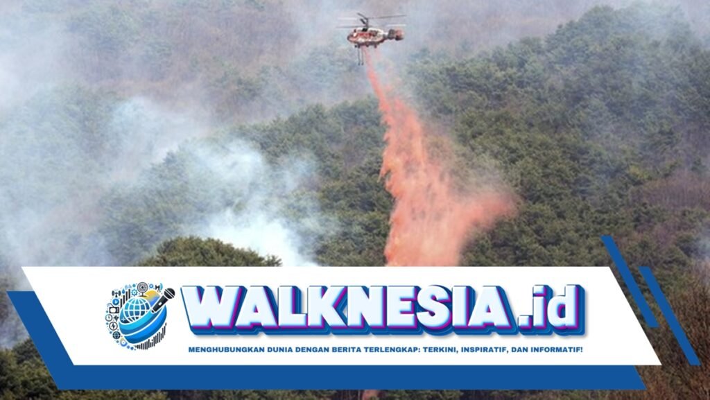 korban tewas kebakaran hutan di korsel terus bertambah