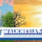 Upaya Mengatasi Krisis Iklim yang Dapat Meningkatkan PDB dan Mengurangi Kemiskinan