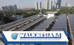 NDB Berencana Terlibat dalam Pendanaan Proyek Energi Terbarukan di Indonesia