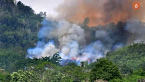 Api Mengamuk: Kebakaran Hutan Meluas, Dampak Lingkungan dan Upaya Penanggulangan Intensif