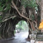 Baiklah, mari kita buat artikel informatif tentang tempat liburan hits dengan struktur yang jelas dan mudah dipahami.
