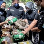 Berita narkoba hari ini