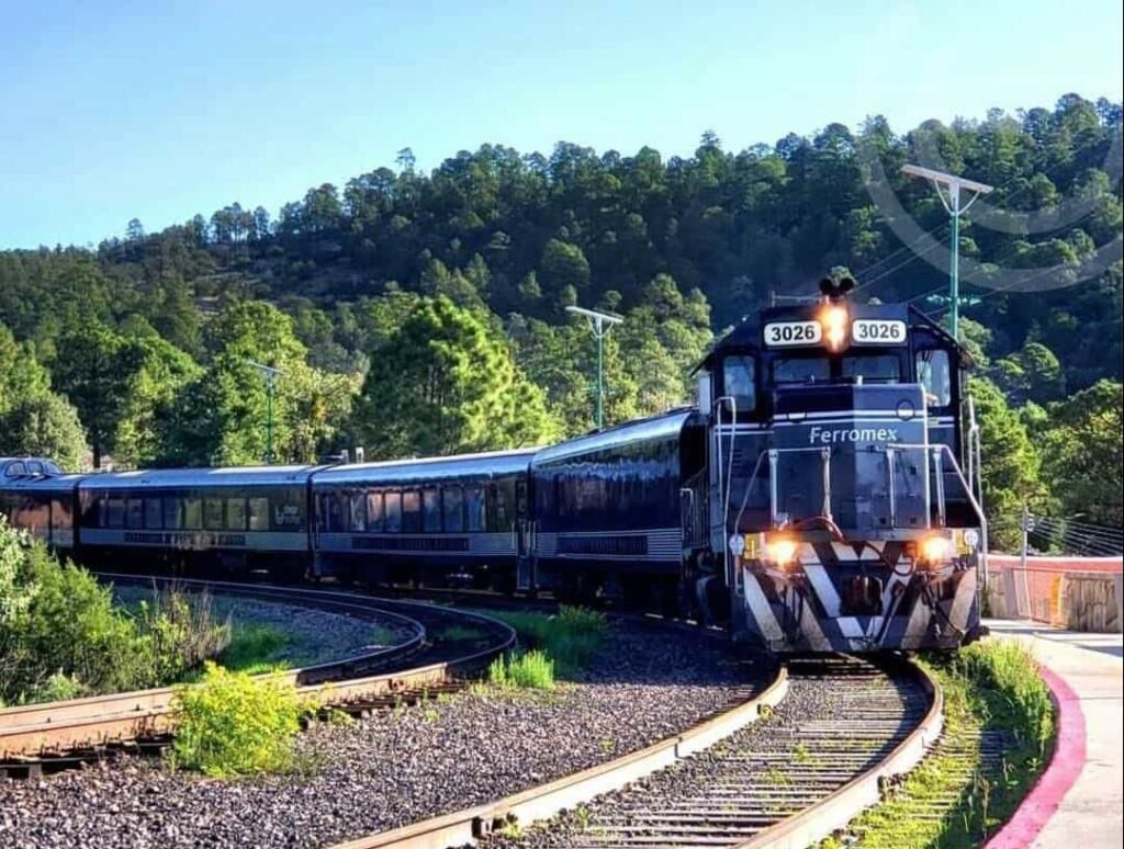 Gaya Hidup Sehat: Lebih dari Sekadar Tren, Investasi untuk Masa Depan